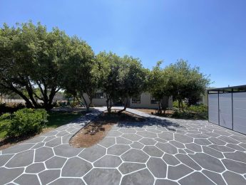 IMG-0447